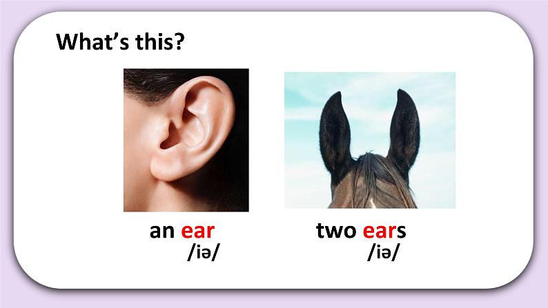 Unit 6 Happy Chinese new year Lesson21(2) 课件+音视频素材 北京版英语一上07