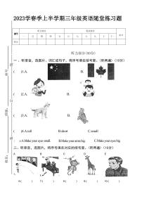 广东省汕尾市海丰县2022-2023学年三年级下学期4月期中英语试题