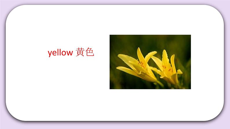 Unit 2 I like the shape Lesson5(1) 课件 北京版英语三下第4页