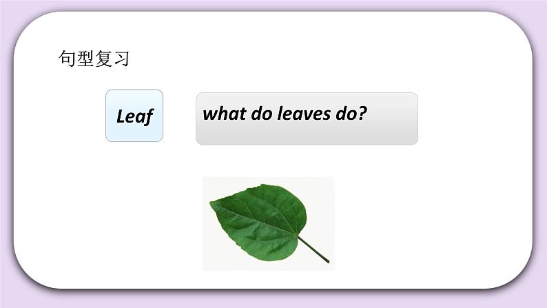 Unit 2 What do flowers do Lesson6 课件+音频素材 北京版英语五下06