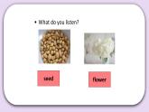 Unit 2 What do flowers do Lesson8 课件+音频素材 北京版英语五下