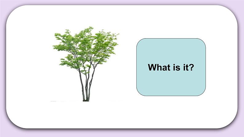 Unit 3 How do seeds travel Lesson9 课件+音频素材 北京版英语五下03