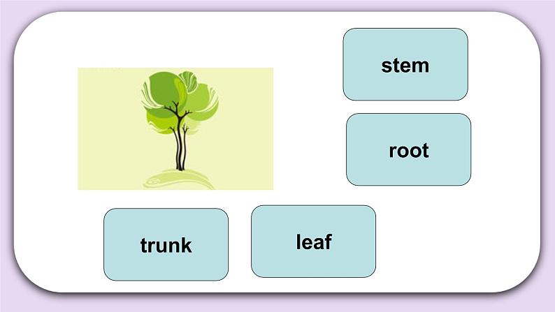 Unit 3 How do seeds travel Lesson9 课件+音频素材 北京版英语五下04