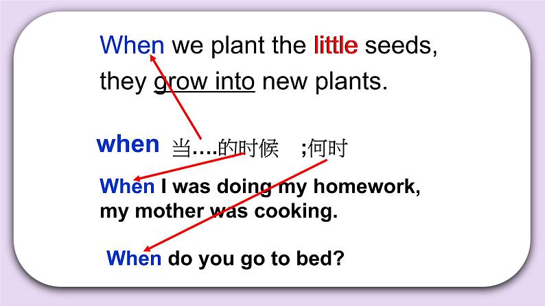 Unit 3 How do seeds travel Lesson11 课件 北京版英语五下第8页