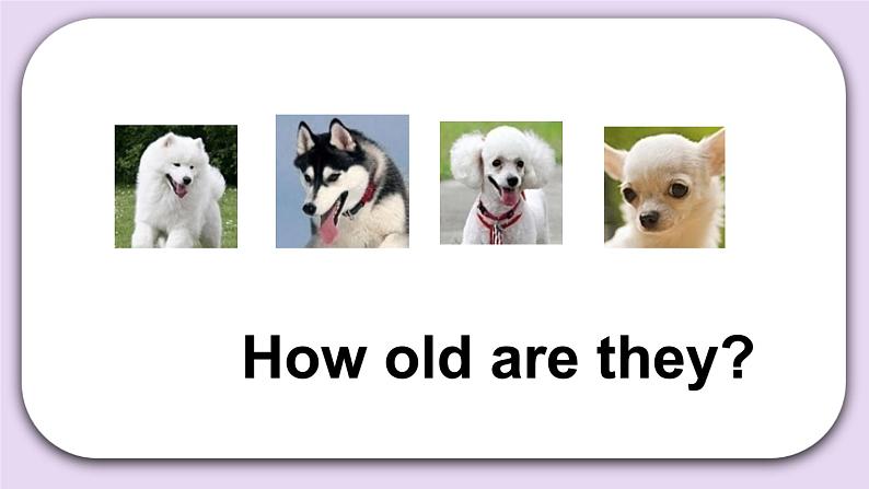 Unit 5 Who’s that baby boy Lesson18 课件+音频素材 北京版英语五下06