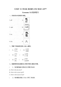 英语三年级上册Lesson 11精品同步达标检测题