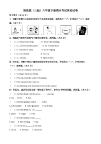 【小升初真题卷】2020-2021学年陕西省商洛市镇安县陕旅版（三起）六年级下册期末考试英语试卷（原卷版+解析版）