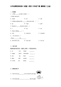 小升初模拟测试卷（试题）英语 六年级下册 冀教版（三起）