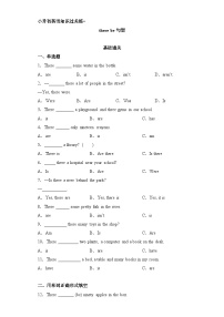 小升初英语知识过关练（基础通关+能力提升）-there+be句型