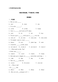 小升初英语知识过关练（基础通关+能力提升）-可数名词单复数，不可数名词，所有格