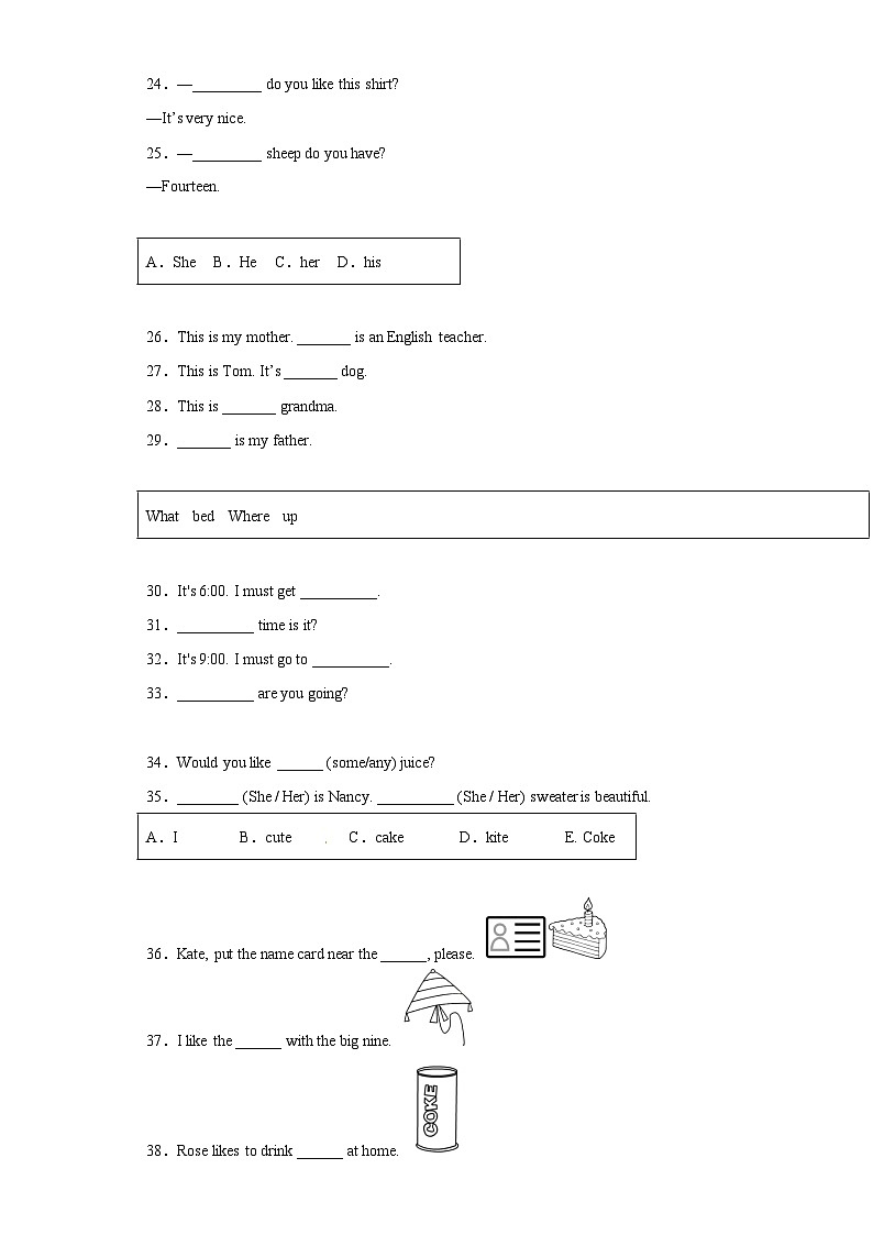 2023年小升初英语外研版三起语法专项突破：代词的用法（含答案解析）第3页