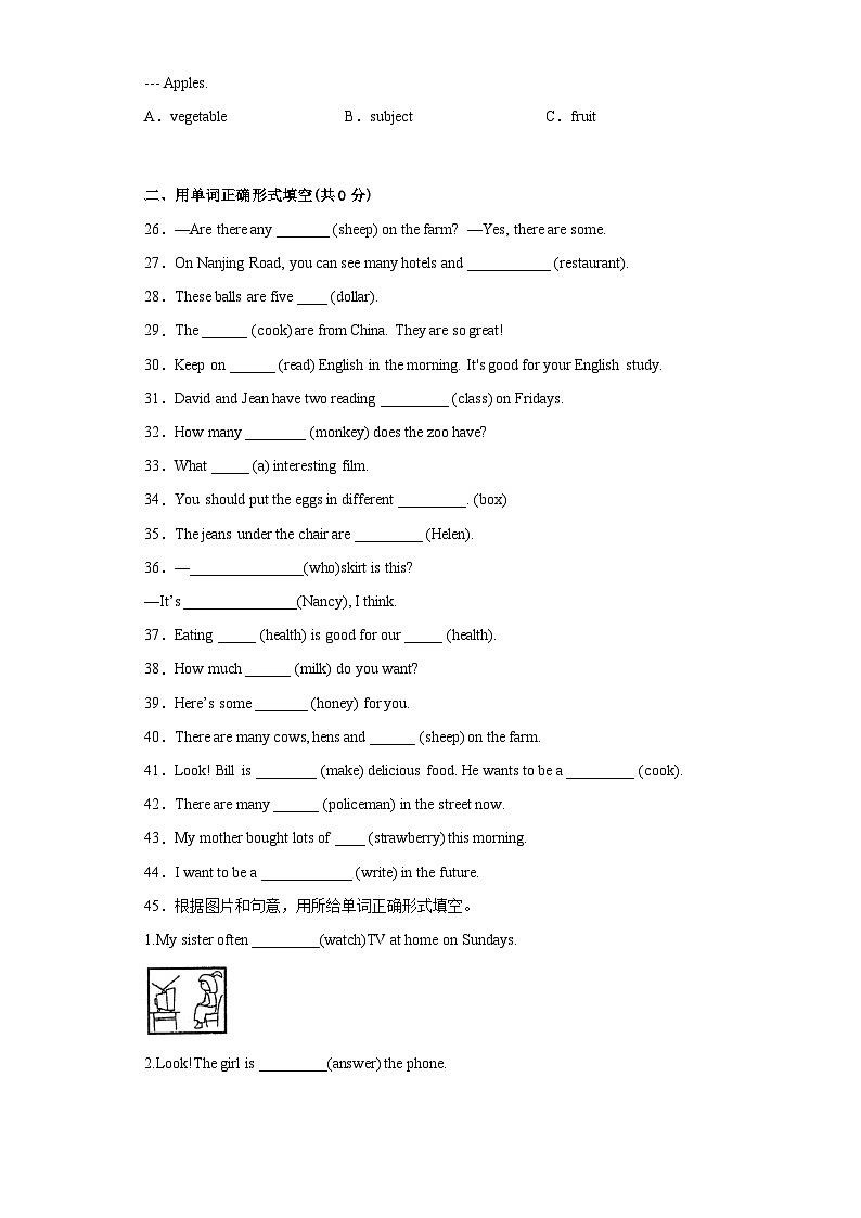 2023年小升初英语译林版三起语法专题冲刺：名词、冠词03