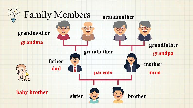 小升初人教PEP版英语总复习基础知识梳理课件：主题2 My family第5页