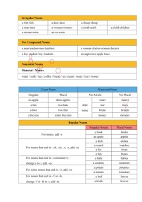 小升初英语专项提升讲义+练习：Lesson 2 名词与冠词 （含答案）