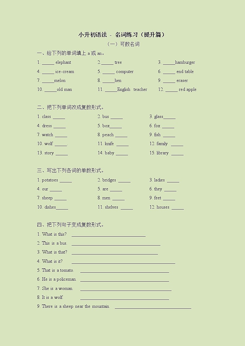 小升初英语语法总复习知识点讲解+练习学案：名词-提升篇第1页