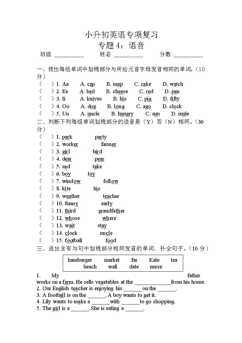 小升初英语通用版专项复习练习4：语音第1页