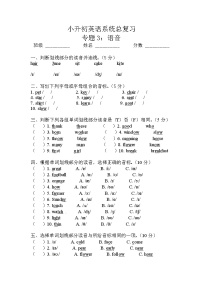 小升初英语通用版语法专项复习训练：专题3：语音（含答案）