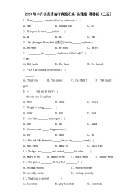 2023年小升初英语译林版三起真题汇编——选择题