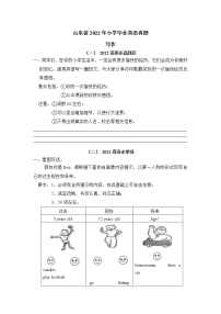 【真题汇编】2022年山东省小升初英语真题汇编——10作文（含答案）