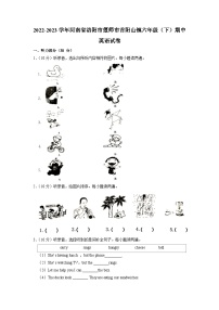 河南省洛阳市偃师市首阳山镇2022-2023学年六年级下学期期中英语试卷