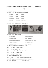 河南省平顶山市宝丰县2022-2023学年五年级下学期期中英语试卷