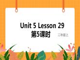 Unit 5 Lesson 29 第5课时 课件