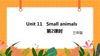 小学新版-牛津上海版unit11Small animals公开课ppt课件