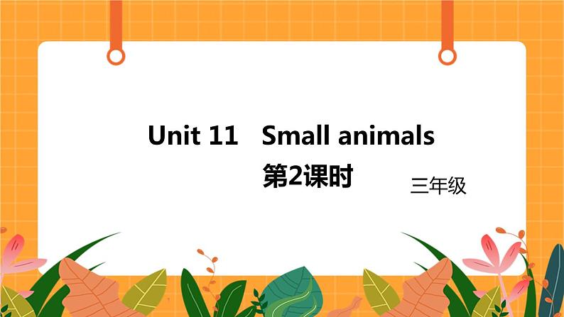 新牛津上海版英语三年级上册 Unit 11《Small animals》第2课时课件01