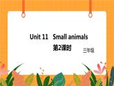 新牛津上海版英语三年级上册 Unit 11《Small animals》第2课时课件