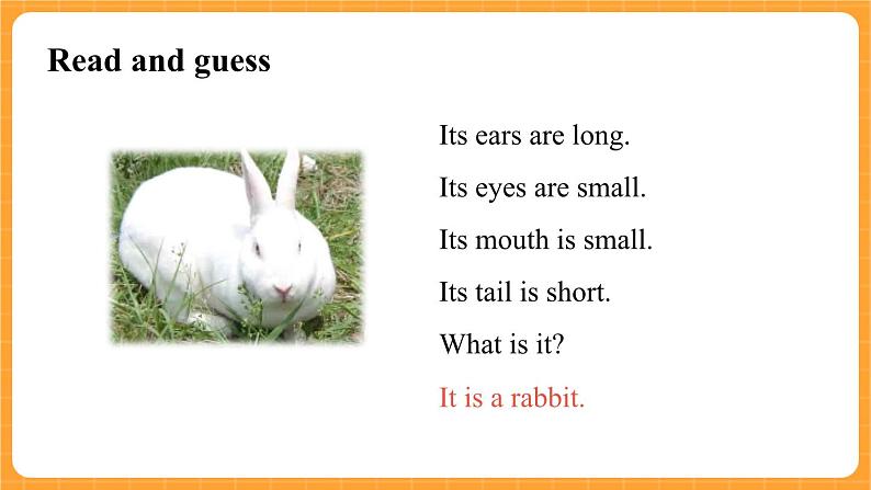 新牛津上海版英语三年级上册 Unit 11《Small animals》第2课时课件06