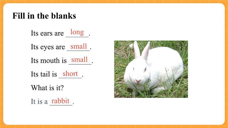 新牛津上海版英语三年级上册 Unit 11《Small animals》第2课时课件08