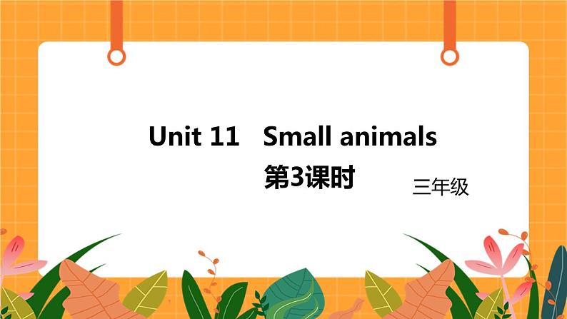 Unit 11《small animals》第3课时课件第1页