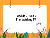Module 2 Unit 2 《I’m watching TV》第2课时 课件