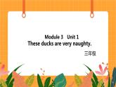 Module 3 Unit 1 《These ducks are very naughty》第1课时 课件