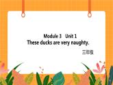 Module 3 Unit 1 《These ducks are very naughty》第1課時(shí) 課件