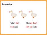 Module 3 Unit 1 《These ducks are very naughty》第1课时 课件