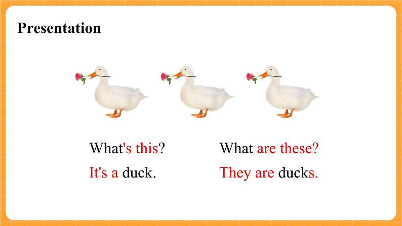 Module 3 Unit 1 《These ducks are very naughty》第1课时 课件05