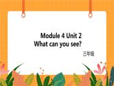 Module 4 Unit 2 《What can you see 》第2课时 课件