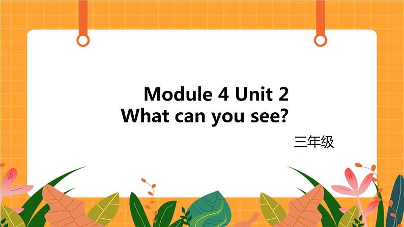 Module 4 Unit 2 《What can you see 》第2课时 课件01