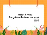 Module 6 Unit 1 《I've got new shorts and new shoes》第1课时 课件