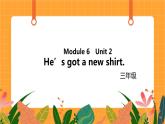 Module 6 Unit 2 《He’s got a new shirt》第2课时 课件