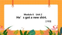 外研版 (一年级起点)三年级上册Unit 2 He’s got a new shirt.完美版ppt课件