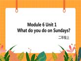 外研版（一起点）小学英语二年级（上）Module 6 Unit 1 《What do you do on Sundays》第1课时 课件
