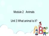 教科版EEC英语六下Module 2 Unit 3 What animal is it第1课时  课件