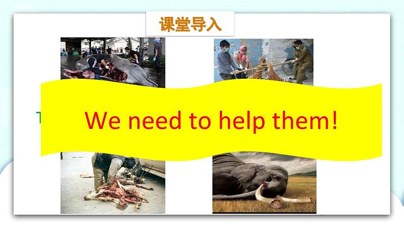 教科版EEC英语六下Module 2 Unit 4 We can save the animals第1课时  课件02