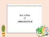 Unit 4 Pets lesson1  课件+教案+练习