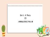 Unit 4 Pets lesson3  课件+教案+练习