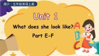 小学湘少版Unit 1 What does she look like?教学演示课件ppt