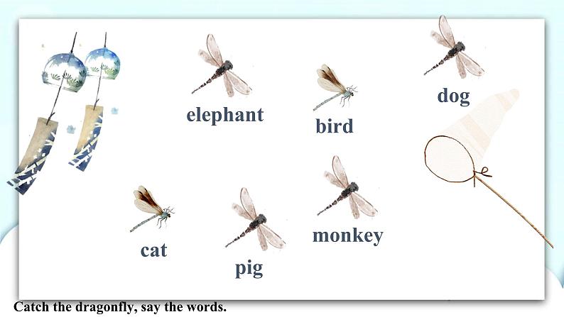 Unit 4 We love animals PB Start to read & PC Story time 课件+教案+同步练习+音视频素材02