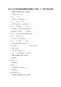 2022-2023学年陕西省渭南市韩城市六年级（下）期中英语试卷（含解析）